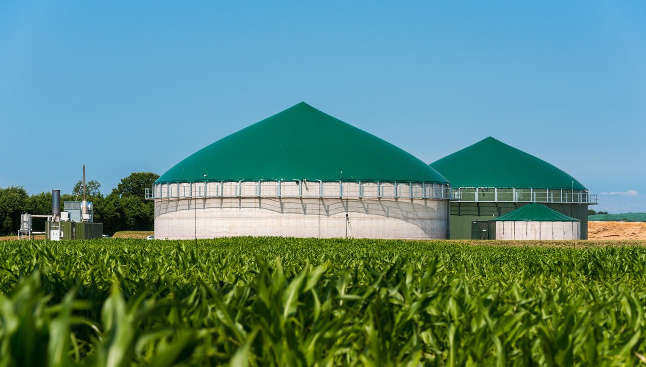 Uproszczenie rozwiązań związanych z tworzeniem biogazowni rolniczych