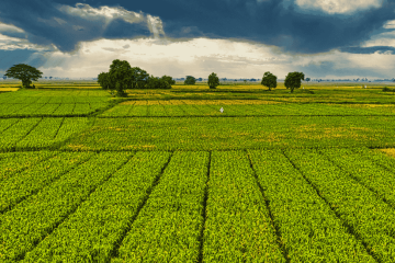 Niedopracowana zmiana UKUR