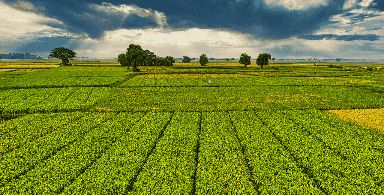 Niedopracowana zmiana UKUR?
