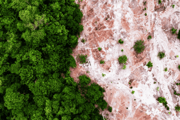 Odpowiedzialność cywilna za szkody środowiskowe