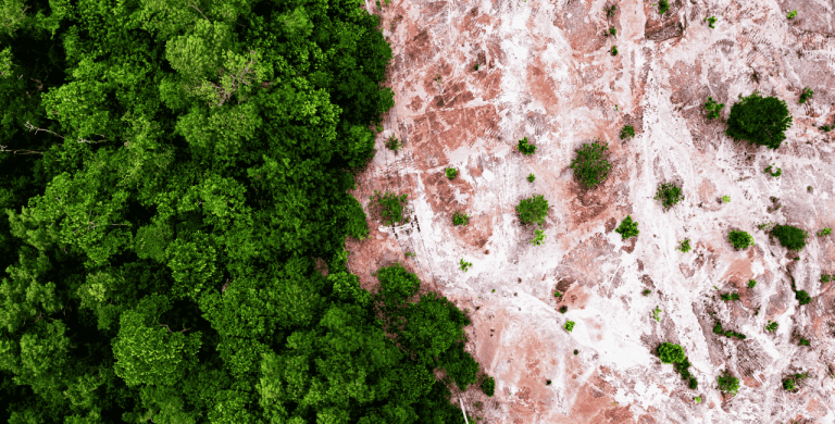 Odpowiedzialność cywilna za szkody środowiskowe